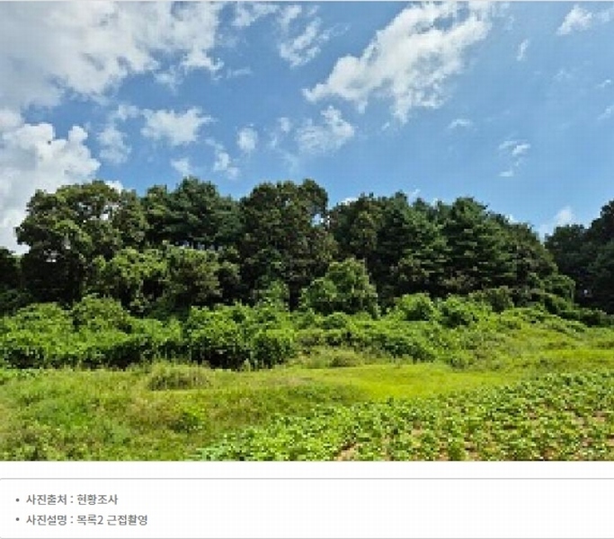 2024타경315 강원특별자치도 원주시 지정면 가곡리 997-2 도로 경매 이미지