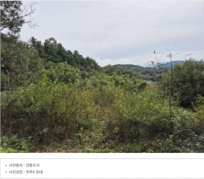 2024타경315 강원특별자치도 원주시 지정면 가곡리 997-2 도로 경매 이미지