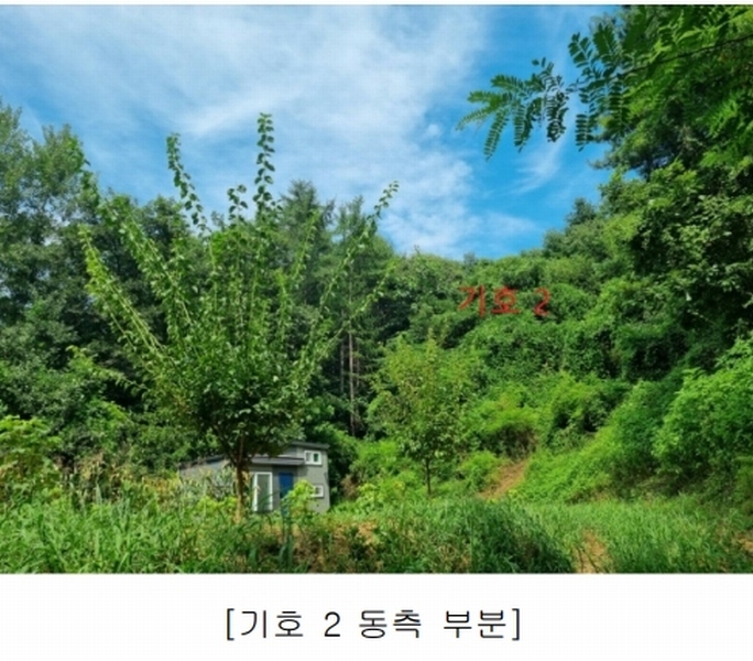 2024타경315 강원특별자치도 원주시 지정면 가곡리 997-2 도로 경매 이미지