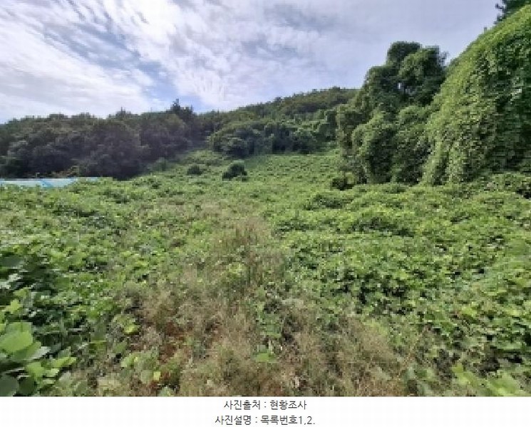 2025타경31193 경상남도 남해군 창선면 진동리 323-3 농지 경매 이미지