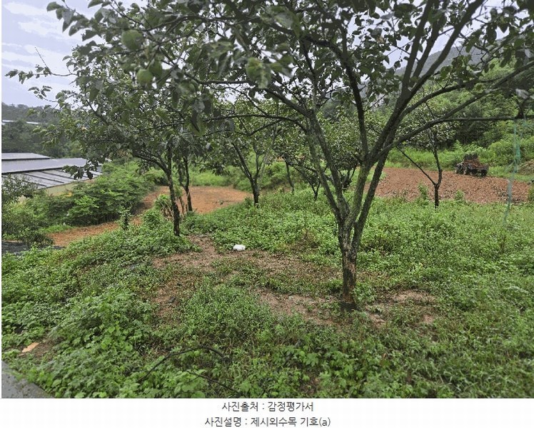 2025타경31157 경상남도 하동군 진교면 양포리 343 농지 경매 이미지