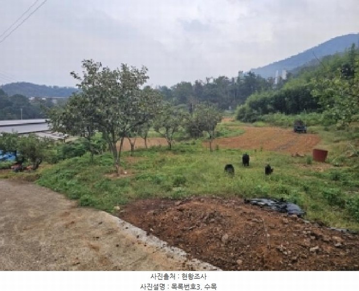 2025타경31157 경상남도 하동군 진교면 양포리 343 농지 경매 이미지