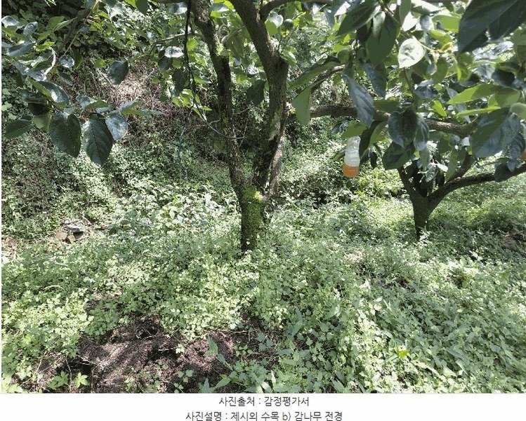 2025타경31084 경상남도 산청군 생비량면 화현리 798-1 농지 경매 이미지