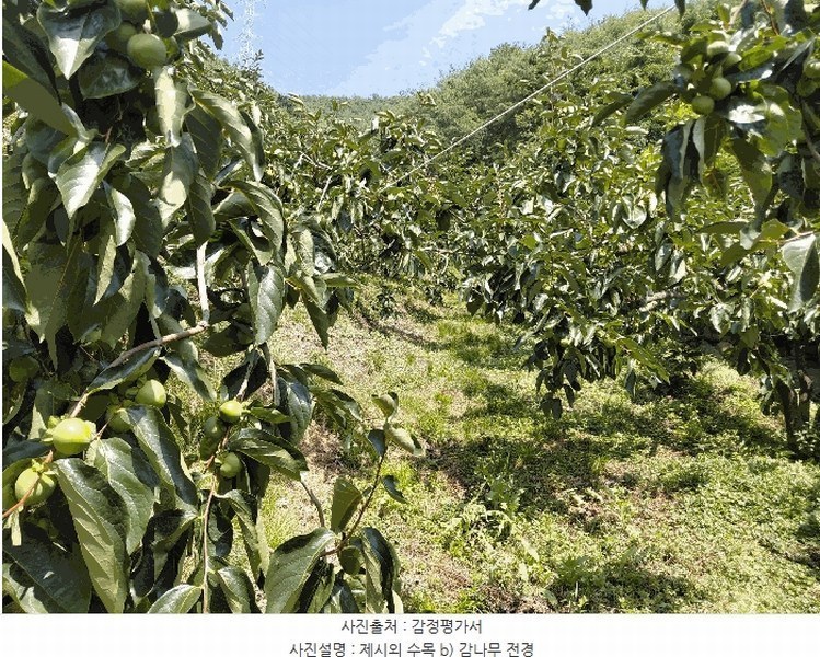 2025타경31084 경상남도 산청군 생비량면 화현리 798-1 농지 경매 이미지
