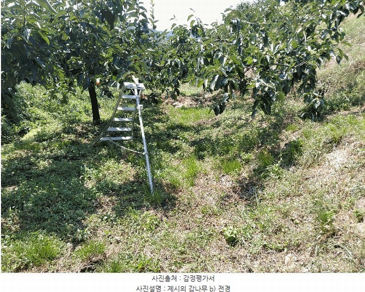 2025타경31084 경상남도 산청군 생비량면 화현리 798-1 농지 경매 이미지