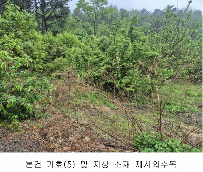 2025타경30706 경상남도 사천시 죽림동 산155 임야 경매 이미지