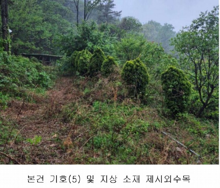 2025타경30706 경상남도 사천시 죽림동 산155 임야 경매 이미지
