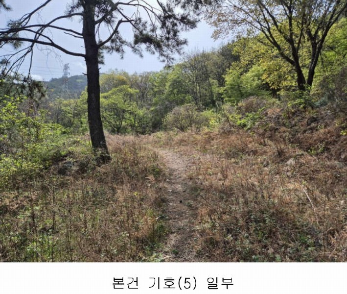 2025타경30706 경상남도 사천시 죽림동 산155 임야 경매 이미지