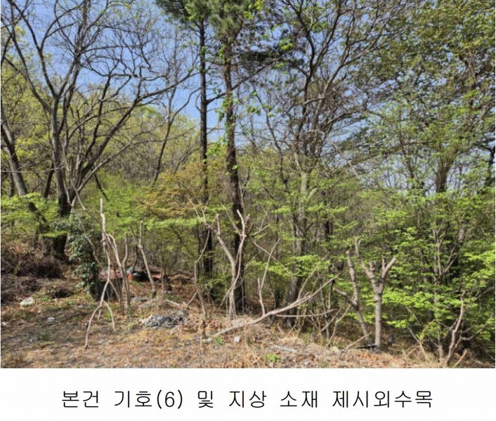 2025타경30706 경상남도 사천시 죽림동 산155 임야 경매 이미지