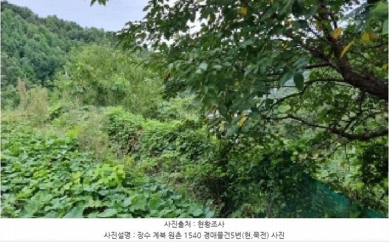 2025타경30242 전북특별자치도 장수군 계북면 원촌리 1540 농지 경매 이미지