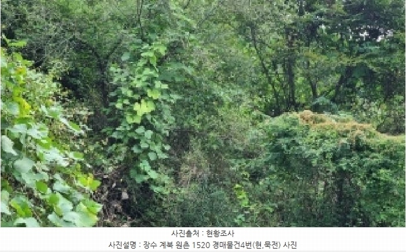 2025타경30242 전북특별자치도 장수군 계북면 원촌리 1520 농지 경매 이미지