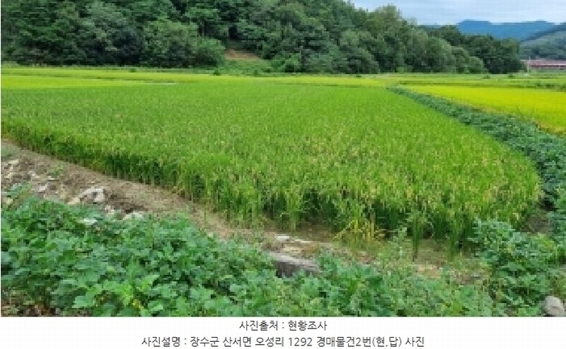 2025타경1176 전북특별자치도 장수군 산서면 오성리 1292 농지 경매 이미지