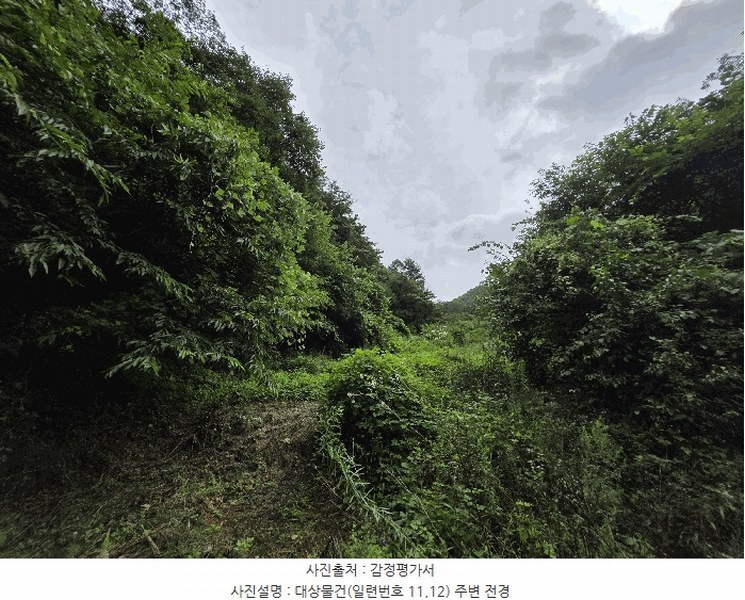 2025타경1165 전북특별자치도 장수군 장수읍 수분리 960 임야 경매 이미지