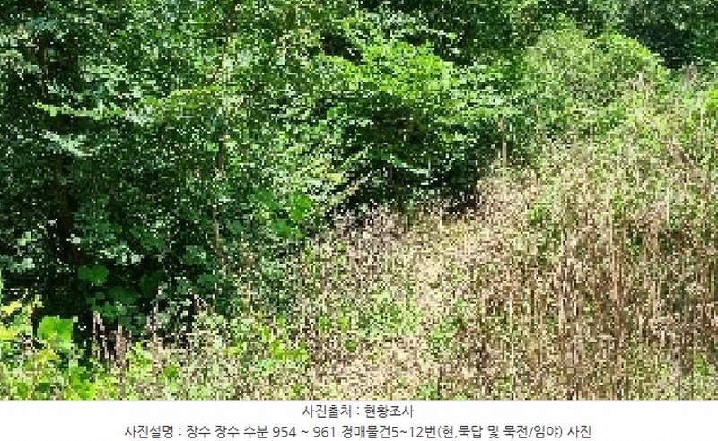 2025타경1165 전북특별자치도 장수군 장수읍 수분리 960 임야 경매 이미지