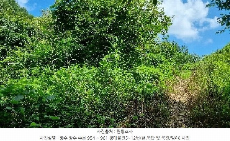 2025타경1165 전북특별자치도 장수군 장수읍 수분리 957 농지 경매 이미지