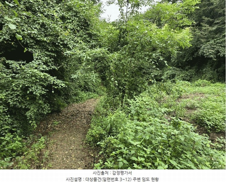 2025타경1165 전북특별자치도 장수군 장수읍 수분리 957 농지 경매 이미지