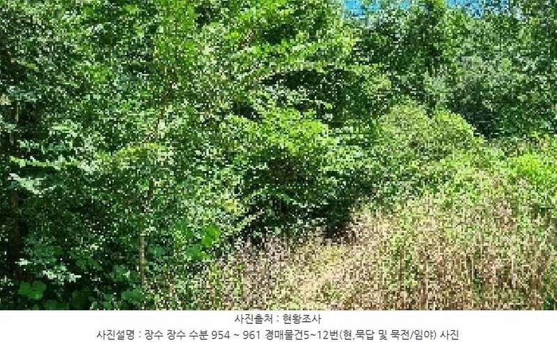 2025타경1165 전북특별자치도 장수군 장수읍 수분리 955 농지 경매 이미지
