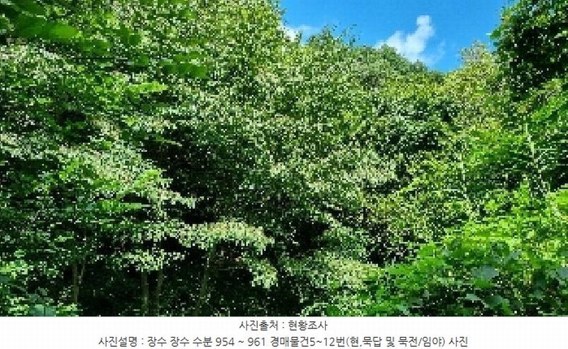 2025타경1165 전북특별자치도 장수군 장수읍 수분리 955 농지 경매 이미지