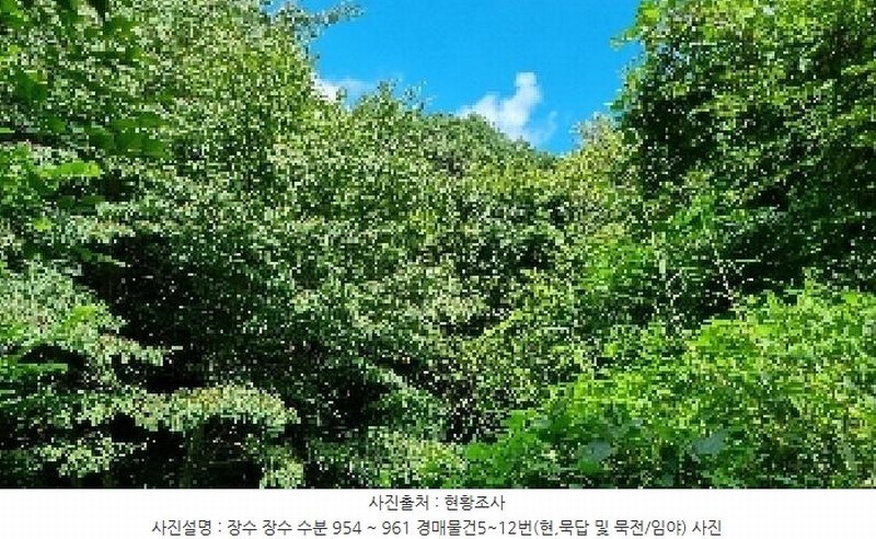 2025타경1165 전북특별자치도 장수군 장수읍 수분리 955 농지 경매 이미지