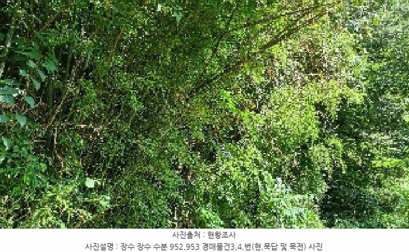 2025타경1165 전북특별자치도 장수군 장수읍 수분리 953 농지 경매 이미지