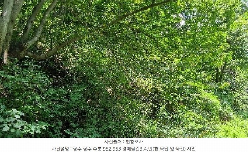 2025타경1165 전북특별자치도 장수군 장수읍 수분리 953 농지 경매 이미지