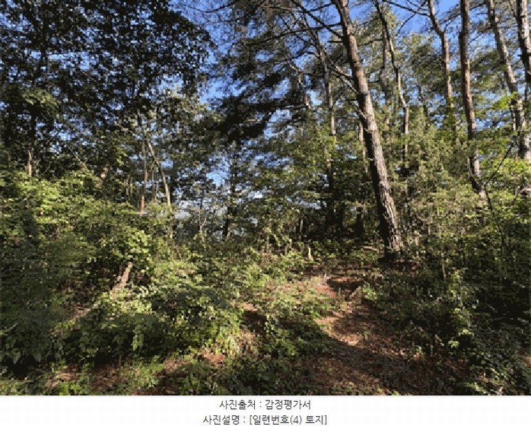 2025타경30235 전북특별자치도 순창군 적성면 석산리 산121 임야 경매 이미지