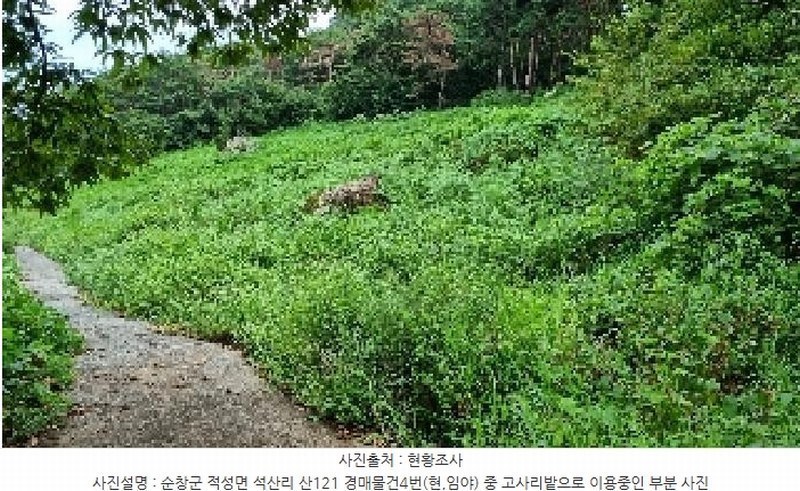 2025타경30235 전북특별자치도 순창군 적성면 석산리 산121 임야 경매 이미지