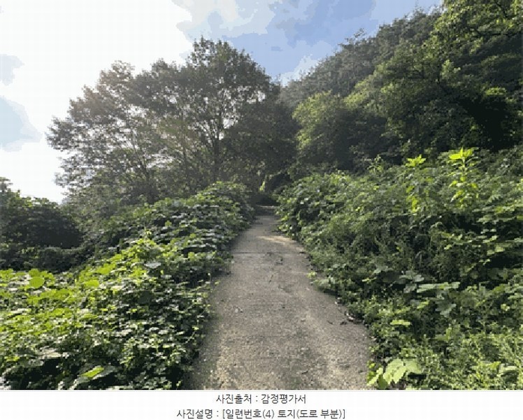 2025타경30235 전북특별자치도 순창군 적성면 석산리 산121 임야 경매 이미지