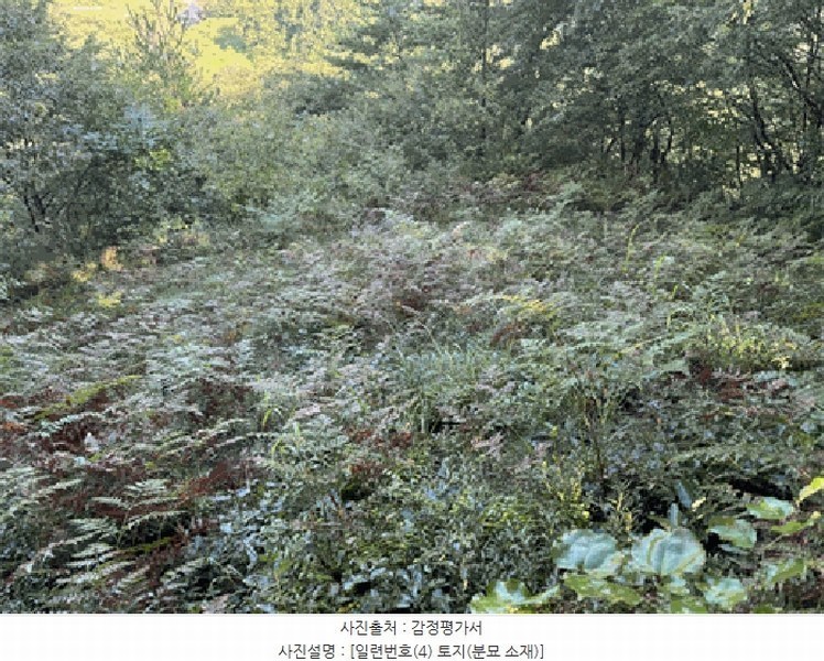 2025타경30235 전북특별자치도 순창군 적성면 석산리 산121 임야 경매 이미지
