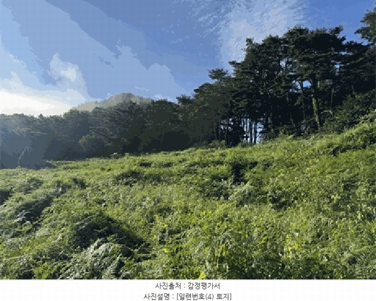 2025타경30235 전북특별자치도 순창군 적성면 석산리 산121 임야 경매 이미지