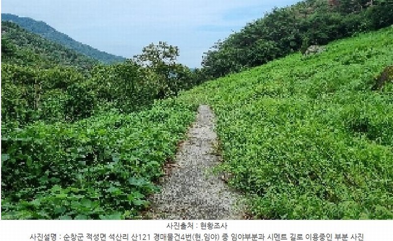 2025타경30235 전북특별자치도 순창군 적성면 석산리 산121 임야 경매 이미지
