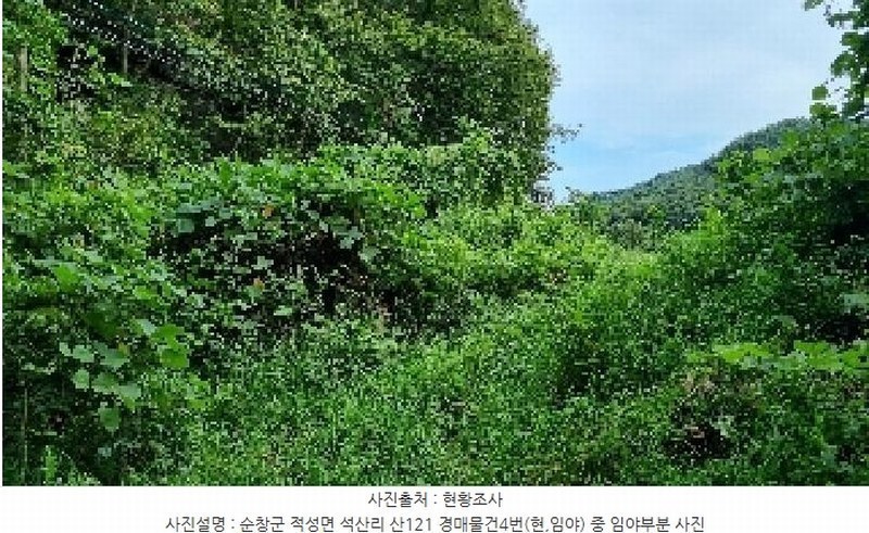 2025타경30235 전북특별자치도 순창군 적성면 석산리 산121 임야 경매 이미지