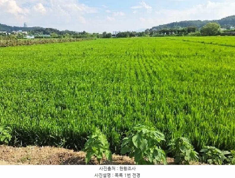 2025타경12187 충청남도 아산시 탕정면 동산리 275-2 농지 경매 이미지