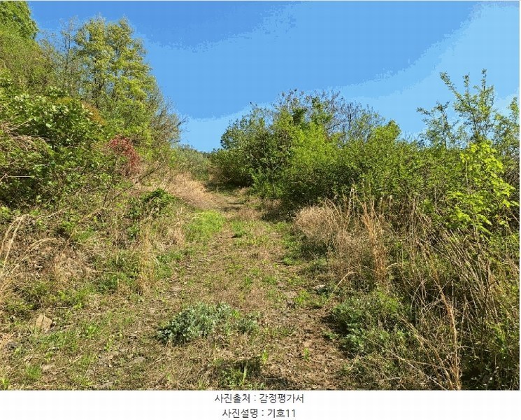 2025타경442 전라남도 순천시 상사면 흘산리 1-19 농지 경매 이미지