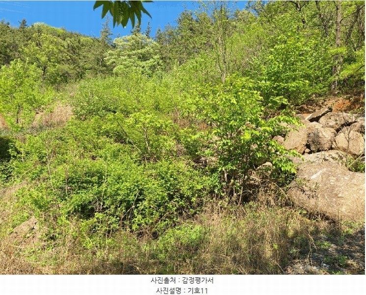 2025타경442 전라남도 순천시 상사면 흘산리 1-19 농지 경매 이미지