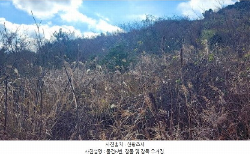 2025타경731 전라남도 여수시 삼산면 서도리 614 농지 경매 이미지