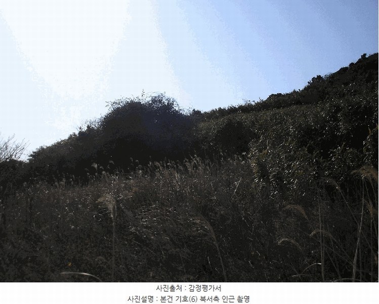 2025타경731 전라남도 여수시 삼산면 서도리 614 농지 경매 이미지
