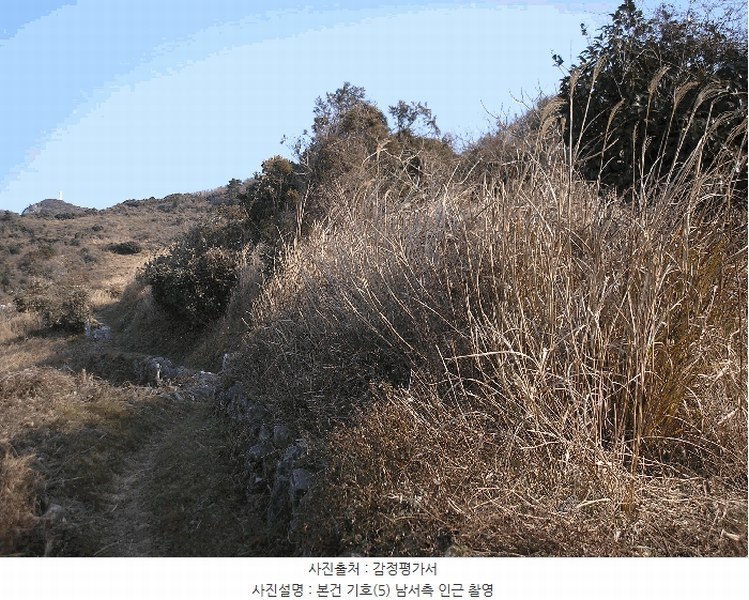 2025타경731 전라남도 여수시 삼산면 서도리 301 농지 경매 이미지