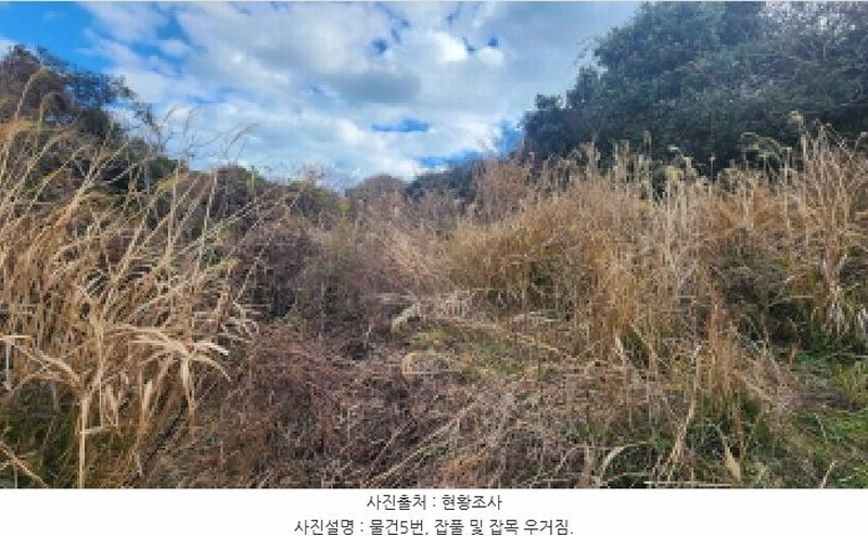 2025타경731 전라남도 여수시 삼산면 서도리 301 농지 경매 이미지