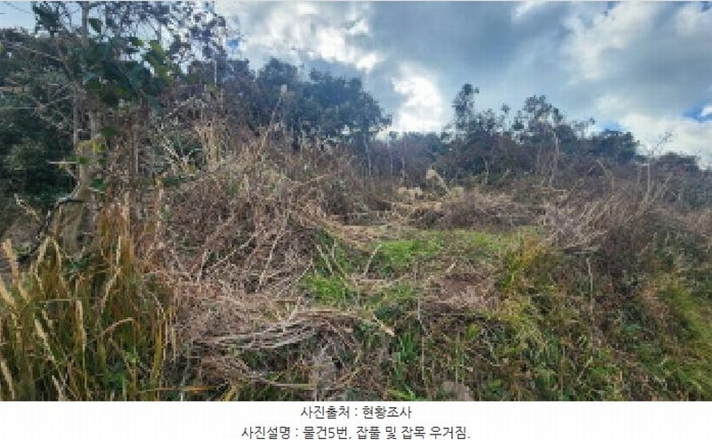 2025타경731 전라남도 여수시 삼산면 서도리 301 농지 경매 이미지