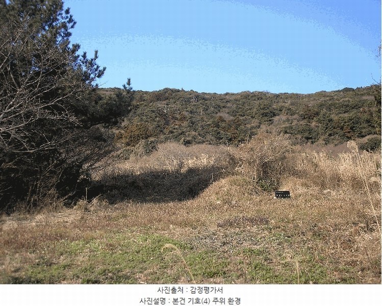 2025타경731 전라남도 여수시 삼산면 덕촌리 1069 농지 경매 이미지