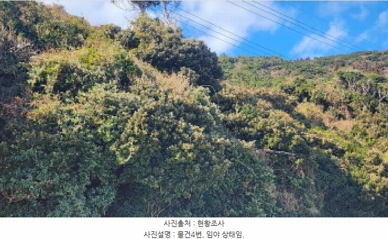 2025타경731 전라남도 여수시 삼산면 덕촌리 1069 농지 경매 이미지