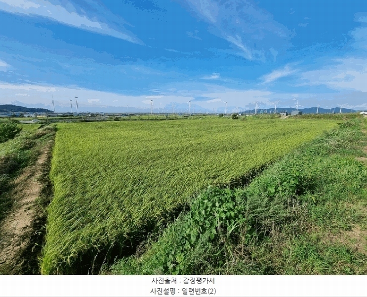 2025타경33815 전라남도 영광군 염산면 송암리 756-5 농지 경매 이미지