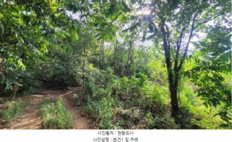2025타경306 경상남도 함안군 법수면 강주리 16 농지 경매 이미지