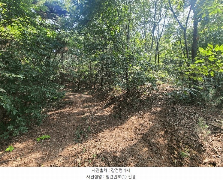 2025타경306 경상남도 함안군 법수면 강주리 16 농지 경매 이미지