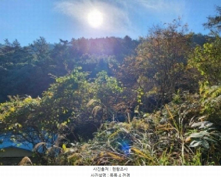 2025타경628 전라남도 순천시 승주읍 신성리 1116-1 창고 경매 이미지