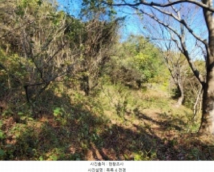 2025타경628 전라남도 순천시 승주읍 신성리 1116-1 창고 경매 이미지