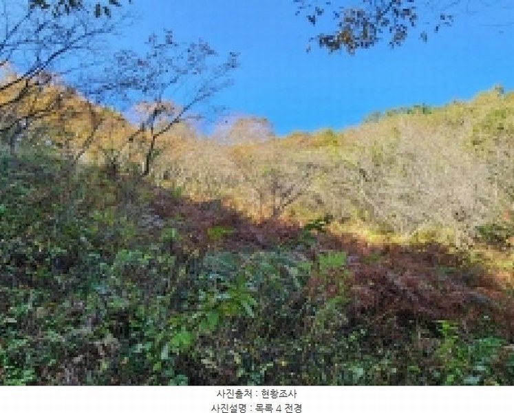 2025타경628 전라남도 순천시 승주읍 신성리 1116-1 창고 경매 이미지
