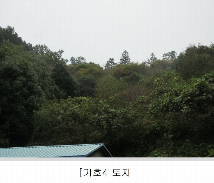 2025타경628 전라남도 순천시 승주읍 신성리 1116-1 창고 경매 이미지