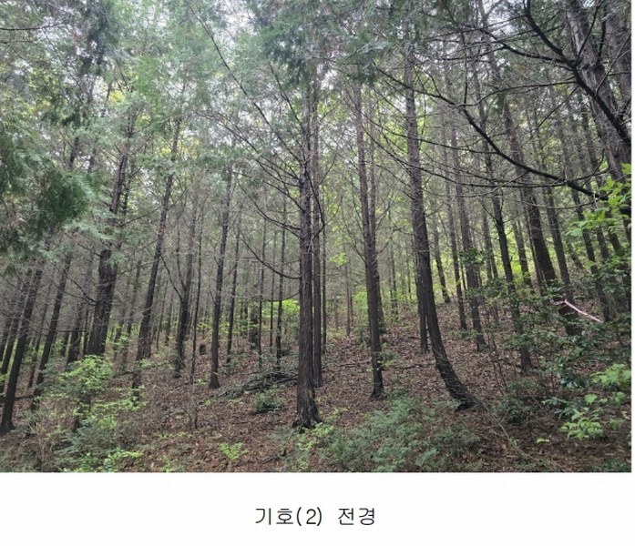 2025타경51307 전라남도 여수시 화양면 용주리 1429-1 임야 경매 이미지